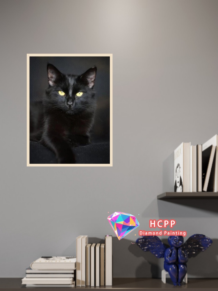 Çerçevesiz Siyah Kedi Hayvan E - Resin Craft Kit incelemesi ve fiyatı